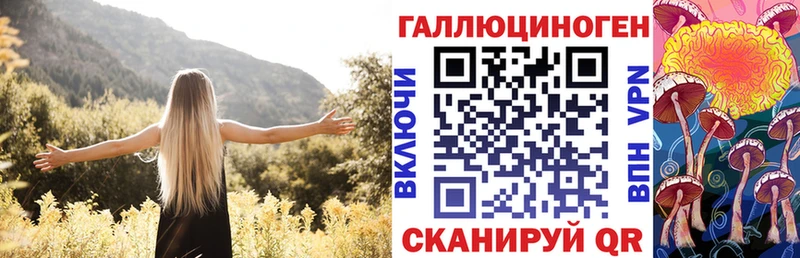 Купить где  Ардатов  Галлюциногенные грибы Cubensis 
